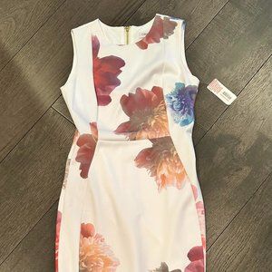 Calvin Klein Women's Sheath Dress, Size 2, NWT